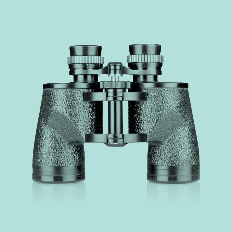 The Reputation – January 2026 – How are your resolutions going?